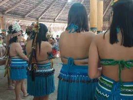 Mulheres e povos tradicionais recebem fomento de mercado de celulose - Imagem