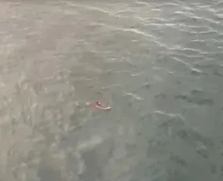Aquaman? Suspeito de tráfico tenta fugir da polícia e é capturado em alto mar
