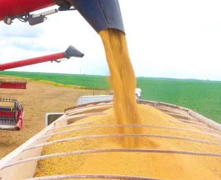 Efeito do tarifaço? Espanha ultrapassa EUA como destino do agro baiano