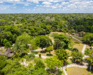 Empresa de celulose da Bahia capta 5,3 vezes mais carbono do que emite