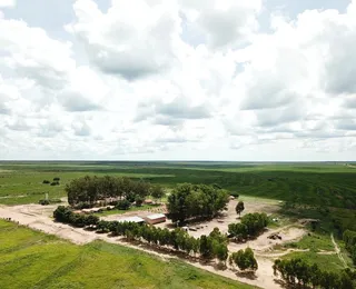Fazenda baiana é vendida por mais de R$ 140 milhões em mega negociação