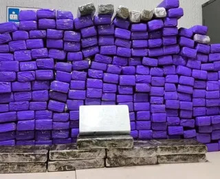 Homem é preso com quase 300 tabletes de drogas em van de turismo