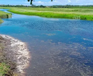 MPBA ajuíza ação contra empresas por poluição de rio em Camaçari