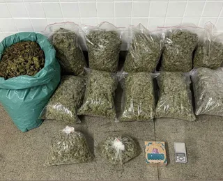 Mais de 30 quilos de maconha são apreendidos em Feira de Santana
