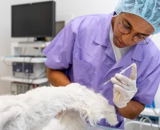 Palestras e debates marcam Semana de Medicina Veterinária em Salvador