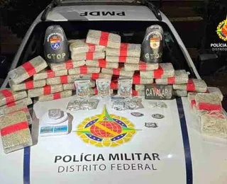Drogas avaliadas em R$ 1 milhão são encontradas em operação da PM