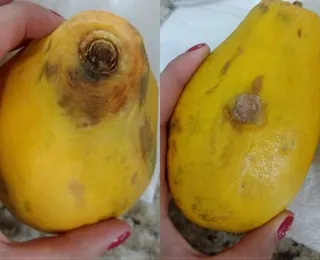 Tirar um pedaço da fruta que está estragada e comer o resto faz mal?