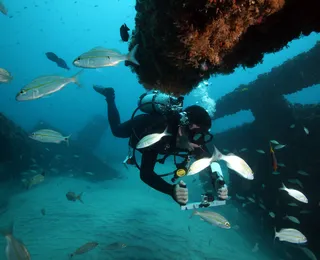 Mergulho na Bahia: conheça 5 opções paradisíacas e imperdíveis
