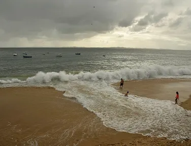 Perigo no mar: garoto de 12 anos morre após ataque de tubarão - Imagem
