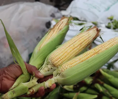 Abramilho mostra potencial China e Japão para o Brasil - Imagem