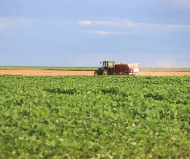 Brasil pode se tornar principal fornecedor de soja da China - Imagem