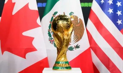 Qual é o seu perfil de torcedor na Copa?