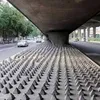 Câmara de Salvador discute projeto que proíbe arquitetura hostil em espaços coletivos - Imagem