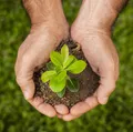 Categoria 'Eco-terra' do prêmio EcoInovar valoriza projetos sustentáveis imagem