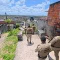 Acampamento de criminosos em área de mata é alvo de ação da PM na RMS imagem