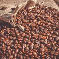 Preço do café vai cair? Brasil se prepara para colheita histórica imagem