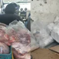Clandestino: mais de 300 kg de carnes com insetos são apreendidas em caminhão imagem