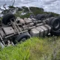 Motorista capota carreta após ser atacado por abelhas na Bahia imagem