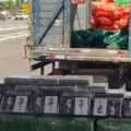 Motorista é preso com 500kg de cocaína em caminhão de cebolas na Bahia imagem