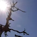 Onda de calor chega no Brasil nesta quinta; saiba como cada região será atingida imagem
