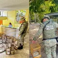 Mais de 27 aves silvestres são apreendidas em feira de Santo Amaro imagem