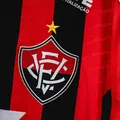 Vitória SAF: saiba detalhes sobre a reunião do Grupo de Trabalho imagem