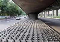 Câmara de Salvador discute projeto que proíbe arquitetura hostil em espaços coletivos