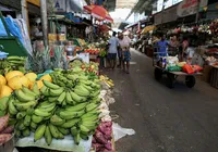 Comprar na feira é sustentável? Veja dicas no ‘Descomplicando a Sustentabilidade' imagem