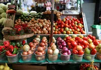 'Descomplicando a Sustentabilidade' ensina a reaproveitar alimentos imagem