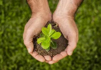 Categoria 'Eco-terra' do prêmio EcoInovar valoriza projetos sustentáveis imagem