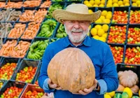 Governo Lula lança linha de crédito bilionária para produtores rurais imagem