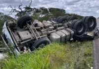 Motorista capota carreta após ser atacado por abelhas na Bahia