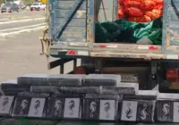 Motorista é preso com 500kg de cocaína em caminhão de cebolas na Bahia