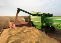 Ano novo, esperanças novas, realistas