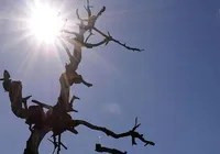 Onda de calor chega no Brasil nesta quinta; saiba como cada região será atingida imagem