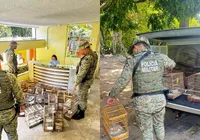 Mais de 27 aves silvestres são apreendidas em feira de Santo Amaro imagem