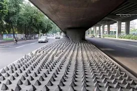 Câmara de Salvador discute projeto que proíbe arquitetura hostil em espaços coletivos - Imagem
