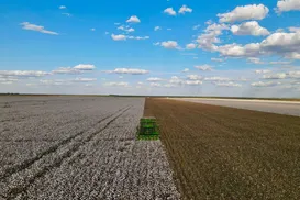 Bioenergia fará o agro crescer em 2026 - Imagem