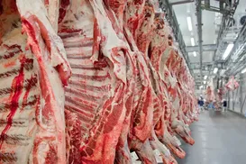 Supermercado é condenado a indenizar cliente por venda de carne imprópria - Imagem