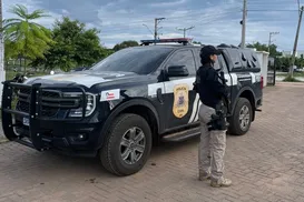 Homem acusado de violência doméstica tem armas apreendidas na Bahia - Imagem