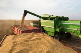 Ano novo, esperanças novas, realistas - Imagem