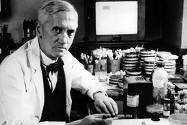 Penicilina revolucionou medicina ao ser descoberta por acaso - Imagem