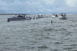 Transporte marítimo da Bahia sob a lupa do MP após série de acidentes - Imagem