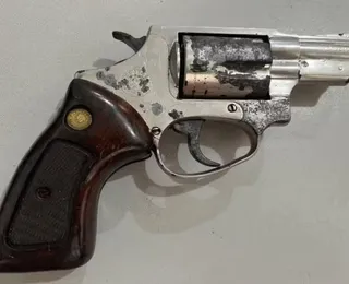 Comissão do Senado aprova projeto que flexibiliza acesso a armas de fogo