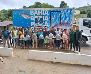 Bahia Pesca beneficia mais de 10 mil famílias com recorde de alevinos