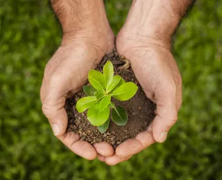 Categoria 'Eco-terra' do prêmio EcoInovar valoriza projetos sustentáveis