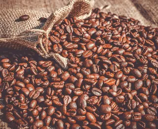 Preço do café vai cair? Brasil se prepara para colheita histórica