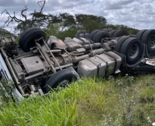 Motorista capota carreta após ser atacado por abelhas na Bahia
