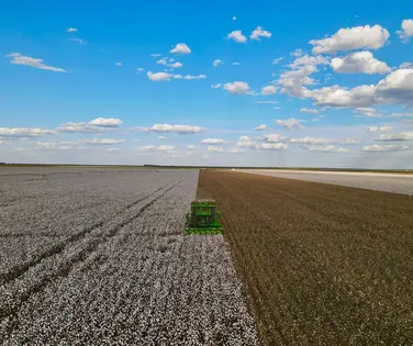 Bioenergia fará o agro crescer em 2026 - Imagem