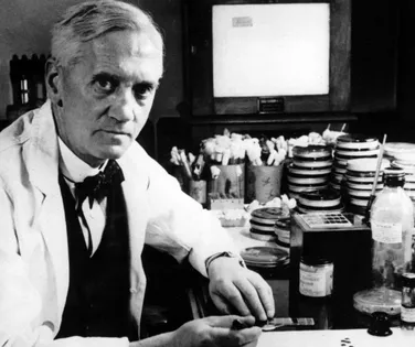 Penicilina revolucionou medicina ao ser descoberta por acaso - Imagem